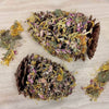 Raw for Birds Floral Pinecone Chew 2 Pack-Habitat Pet Supplies