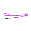 Rogz Classic Amphibian Purple Dog Lead Medium-Habitat Pet Supplies