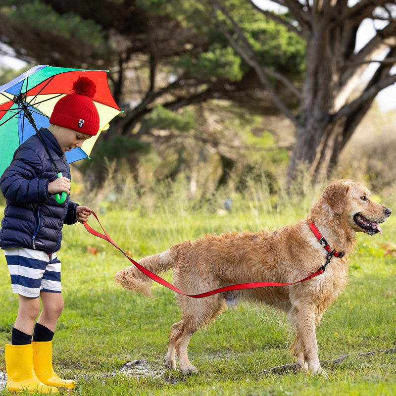 Rogz Classic Amphibian Red Dog Lead Medium