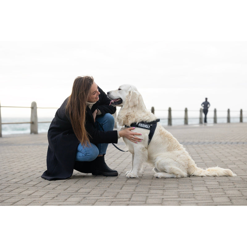 Rogz Utility LetzGo Personalisable Harness Black Xlge