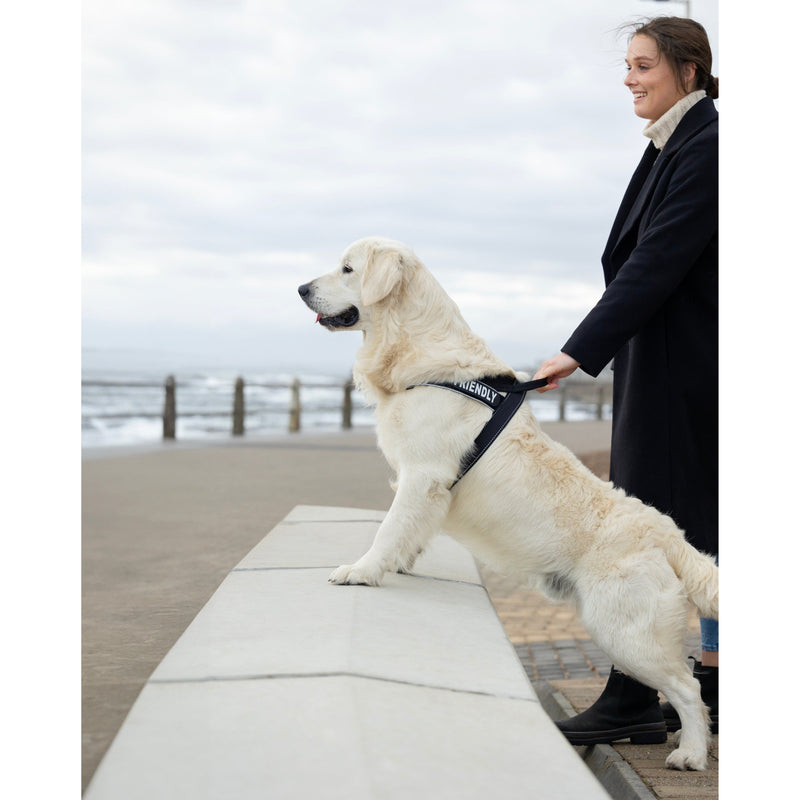 Rogz Utility LetzGo Personalisable Harness Black Xlge