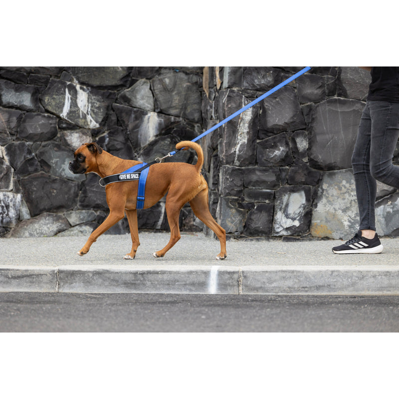 Rogz Utility LetzGo Personalisable Harness Blue Lge