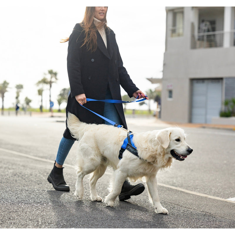 Rogz Utility LetzGo Personalisable Harness Blue Sml