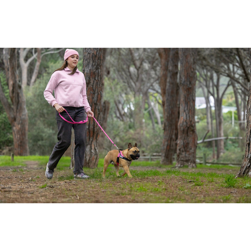 Rogz Utility LetzGo Personalisable Harness Pink Med/Lge