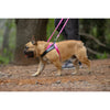 Rogz Utility LetzGo Personalisable Harness Pink Xlge