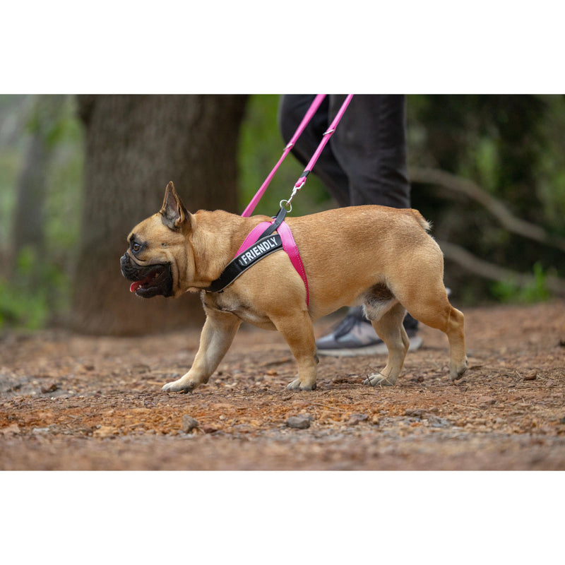 Rogz Utility LetzGo Personalisable Harness Pink Xlge