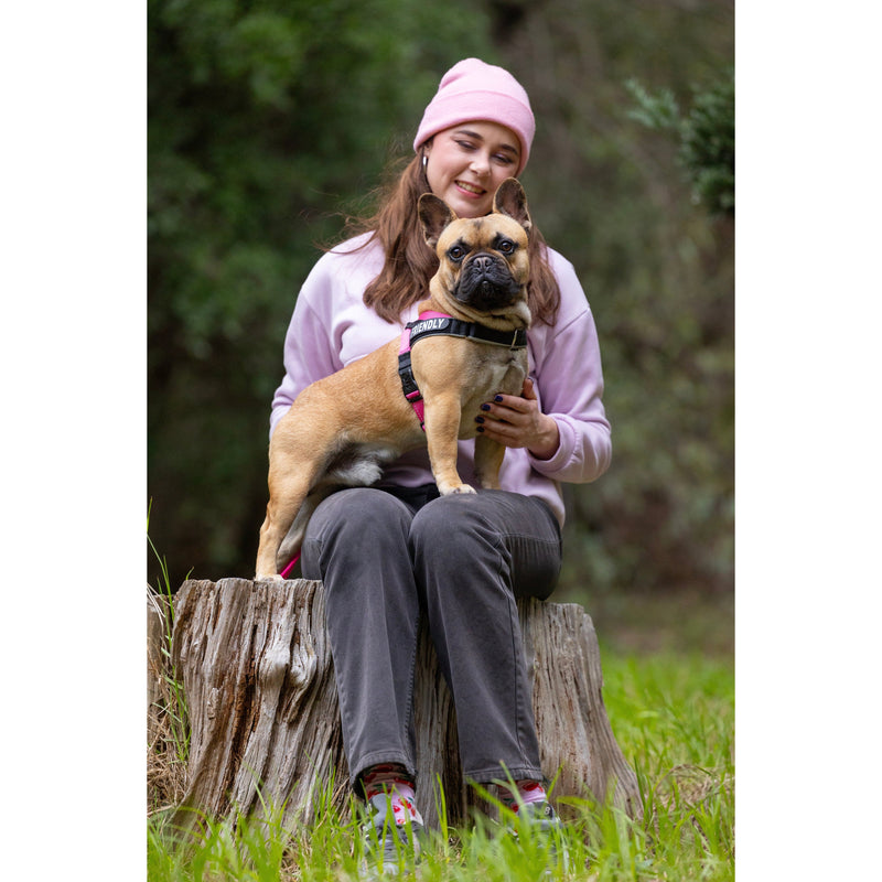 Rogz Utility LetzGo Personalisable Harness Pink Xlge