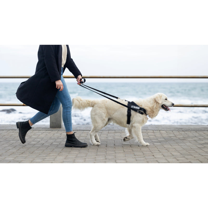 Rogz Utility LetzGo Personalised Harness Black Med/Lge