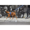 Rogz Utility LetzGo Personalised Harness Blue Med/Lge