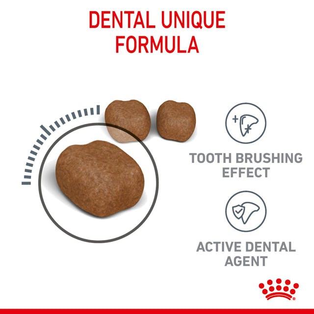 Royal Canin Cat Dental Care Adult Dry Food 1.5kg (+_+)
