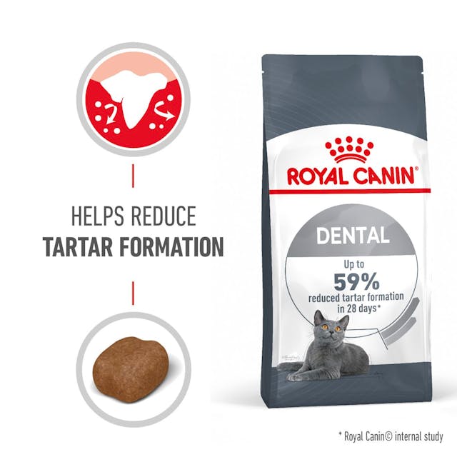 Royal Canin Cat Dental Care Adult Dry Food 1.5kg (+_+)