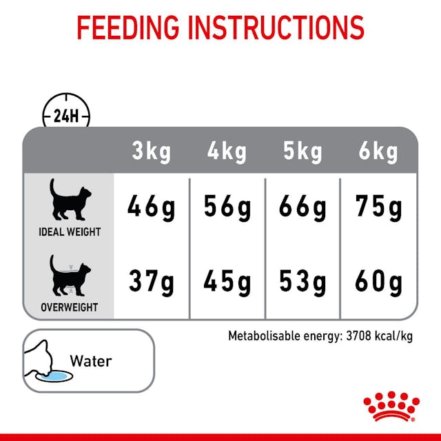Royal Canin Cat Dental Care Adult Dry Food 3.5kg