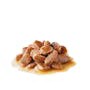 Royal Canin Cat Hair and Skin Care Gravy Adult Wet Food Pouch 85g (+_+)