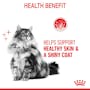 Royal Canin Cat Hair and Skin Care Gravy Adult Wet Food Pouches 85g x 12