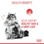 Royal Canin Cat Hair and Skin Care Jelly Adult Wet Food Pouch 85g (+_+)