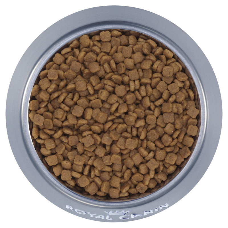 Royal Canin Cat Mother and Babycat Dry Food 2kg