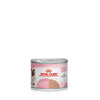 Royal Canin Cat Mother and Babycat with Mousse Wet Food Can 195g x 12-Habitat Pet Supplies