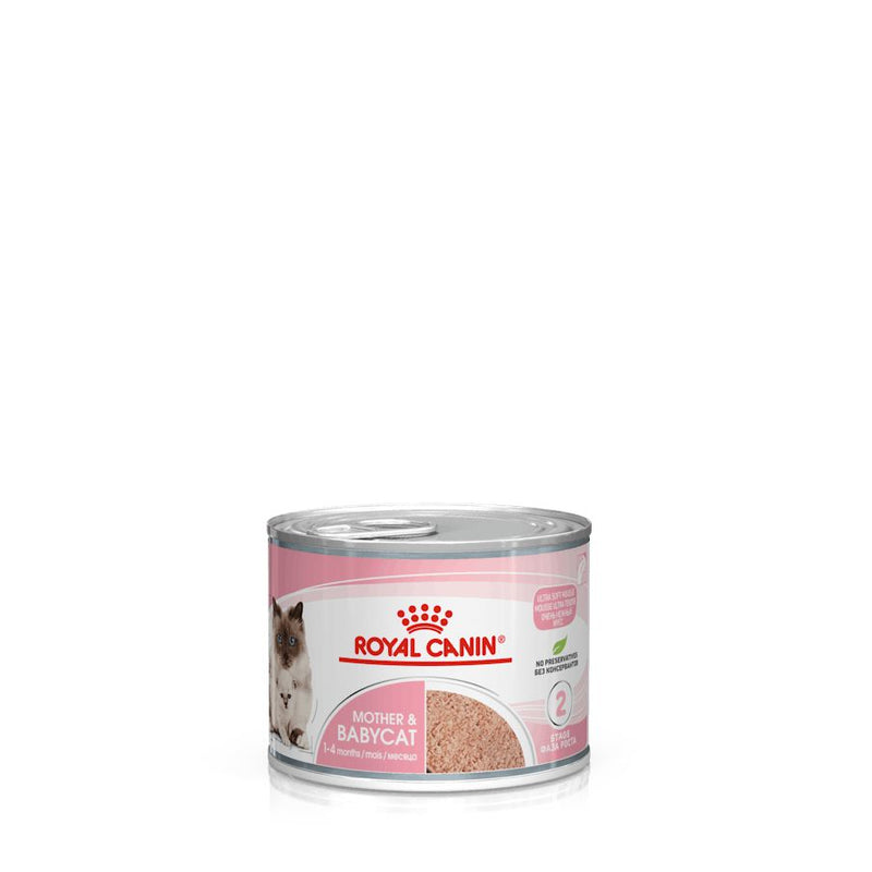 Royal Canin Cat Mother and Babycat with Mousse Wet Food Can 195g x 12-Habitat Pet Supplies