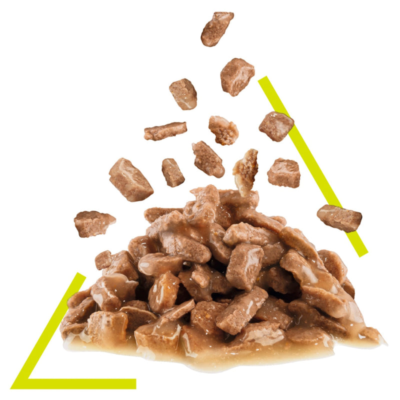 Royal Canin Cat Sensory Smell Gravy Adult Wet Food Pouch 85g :->>