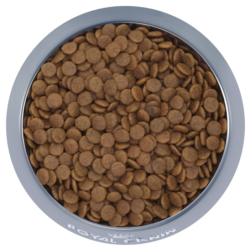 Royal Canin Dog Medium Puppy Dry Food 15kg