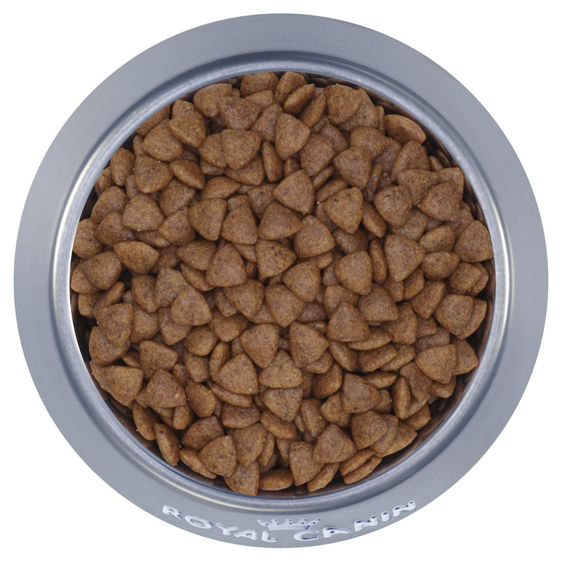 Royal Canin Dog Mini Puppy Dry Food 800g