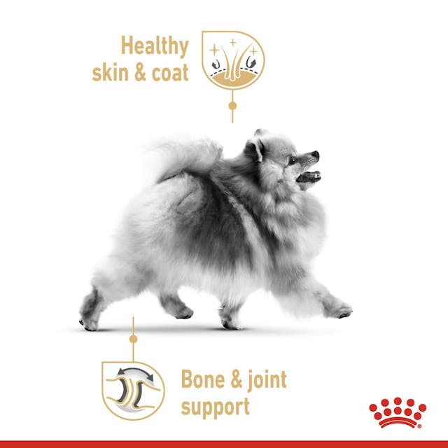 Royal Canin Dog Pomeranian Adult Dry Food 1.5kg