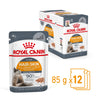Royal Canin Hair and Skin Care Loaf Wet Food Pouch 85g x12-Habitat Pet Supplies