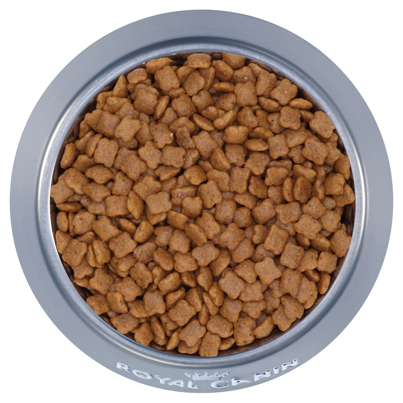 Royal Canin Kitten Dry Food 10kg