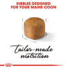 Royal Canin Maine Coon Kitten Dry Food 2kg ^._.^