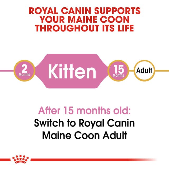 Royal Canin Maine Coon Kitten Dry Food 2kg ^._.^