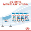 Royal Canin Mother and Babydog Puppy Mousse Wet Food 195g