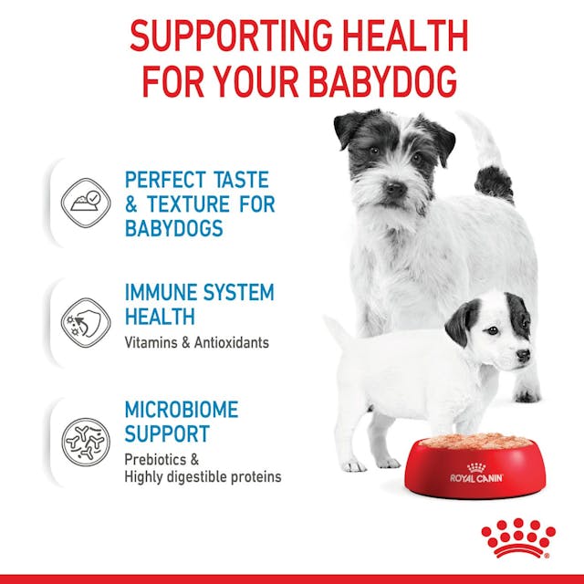 Royal Canin Mother and Babydog Puppy Mousse Wet Food 195g