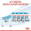 Royal Canin Mother and Babydog Puppy Mousse Wet Food 195g x 12