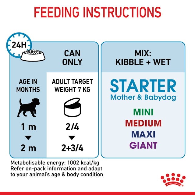 Puppy mouse royal canin clearance