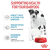 Royal Canin Mother and Babydog Puppy Mousse Wet Food 195g x 12