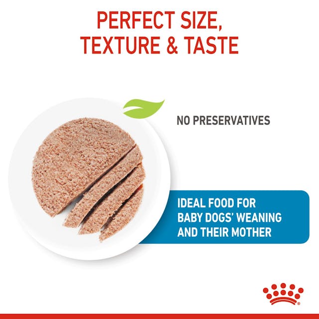 Royal Canin Mother and Babydog Puppy Mousse Wet Food 195g x 12