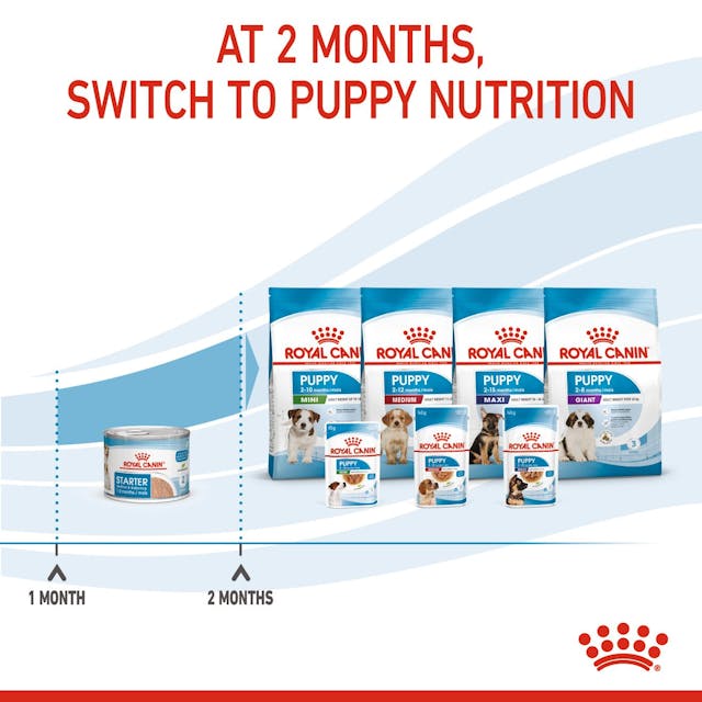 Royal Canin Mother and Babydog Puppy Mousse Wet Food 195g x 12 ^._.^