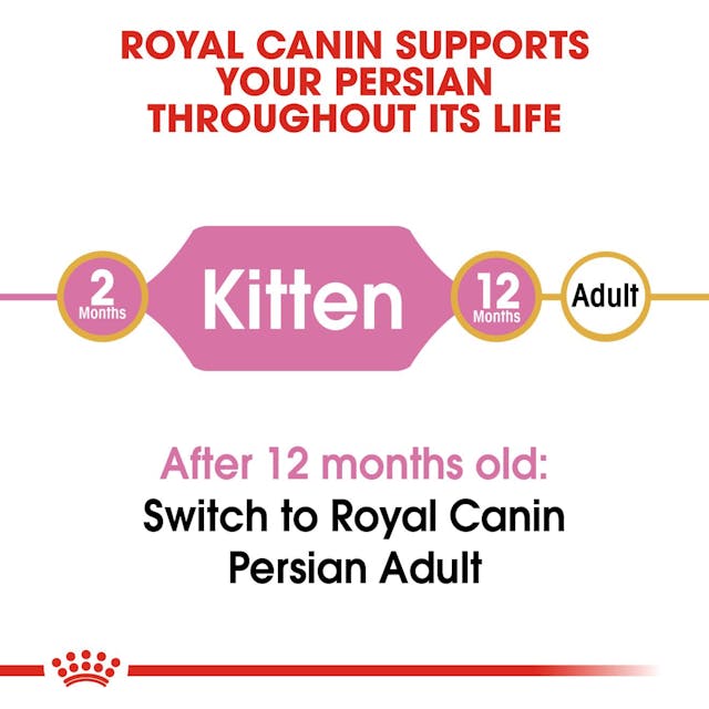 Royal Canin Persian Kitten Dry Food 2KG