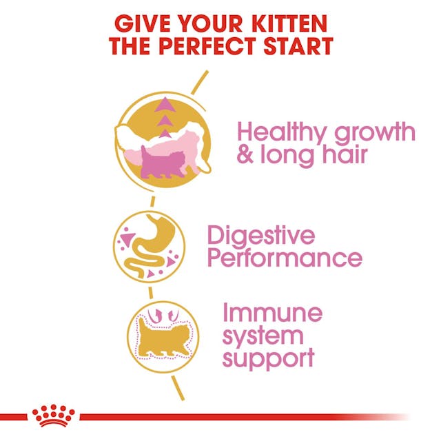 Royal Canin Persian Kitten Dry Food 2KG