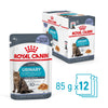 Royal Canin Urinary Care with Jelly Wet Food Pouch 85g x12-Habitat Pet Supplies