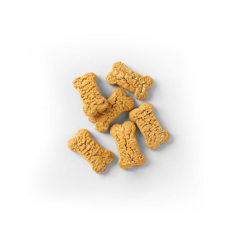 SavourLife Australian Salmon Grain Free Dog Biscuits 425g