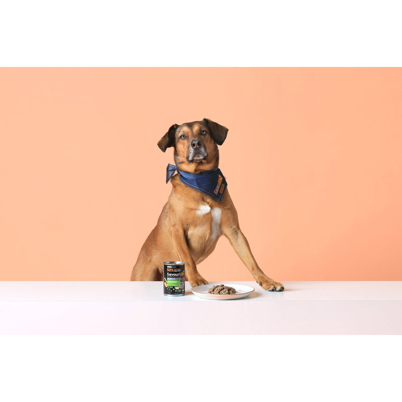 SavourLife Grain Free Lamb Adult Dog Wet Food 375g