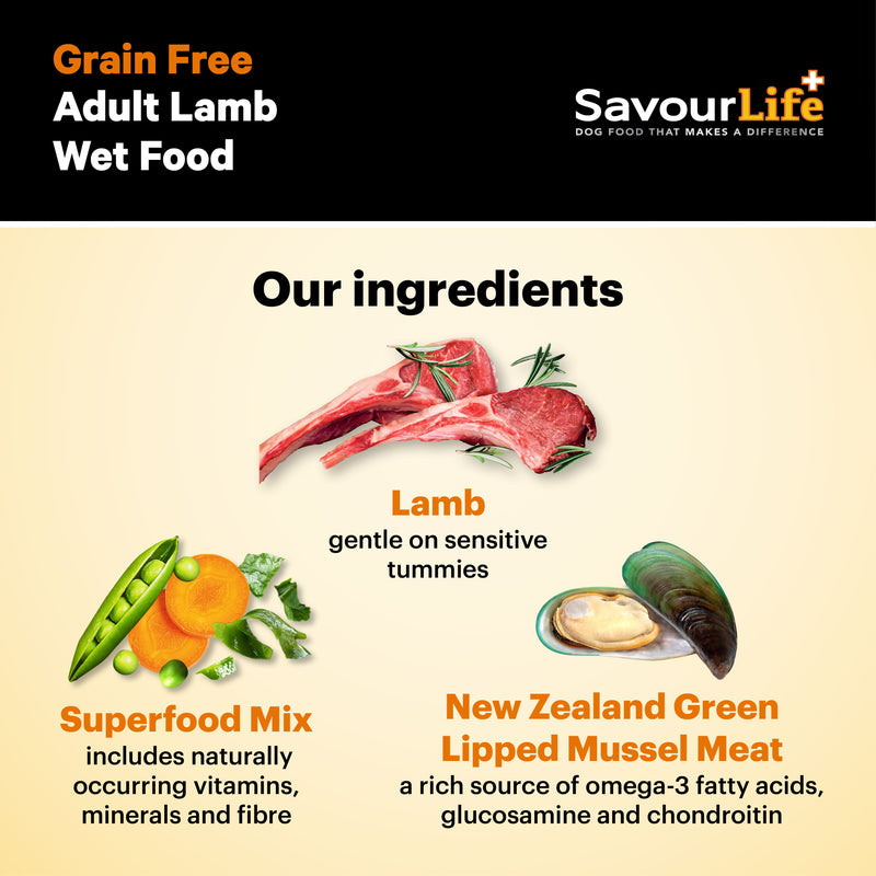SavourLife Grain Free Lamb Adult Dog Wet Food 375g X12