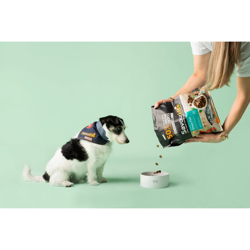 Savourlife Essentials Dry Dog Food Ocean Fish with Veggies & Rice 3kg