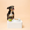 Savourlife Essentials Lamb with Vegetables & Rice Adult Dog Wet Food 400g