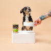 Savourlife Essentials Lamb with Vegetables & Rice Adult Dog Wet Food 400g X12
