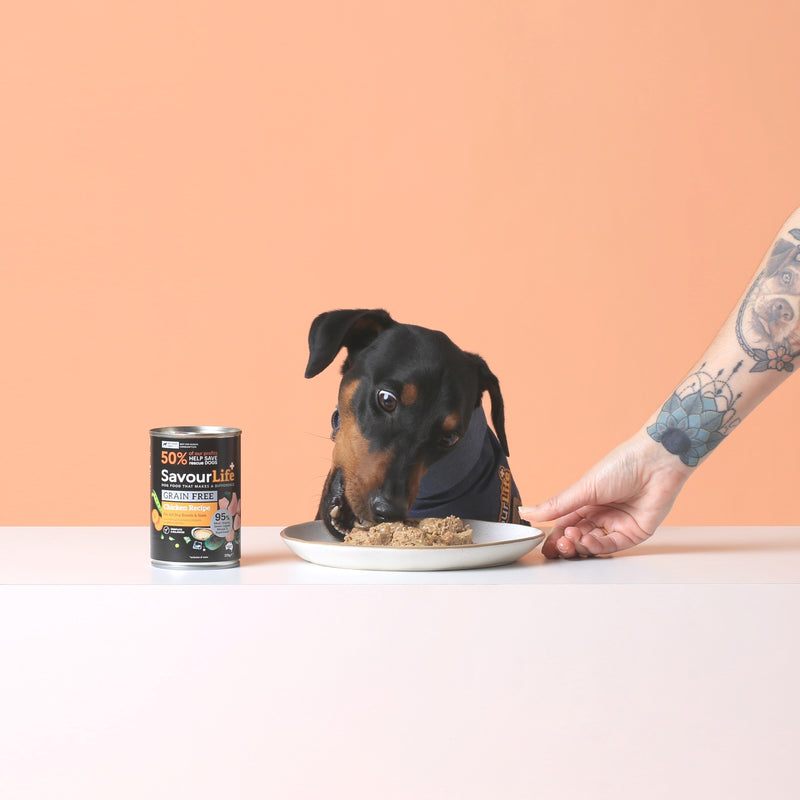 Savourlife Grain Free Chicken Adult Dog Wet Food 375g X12