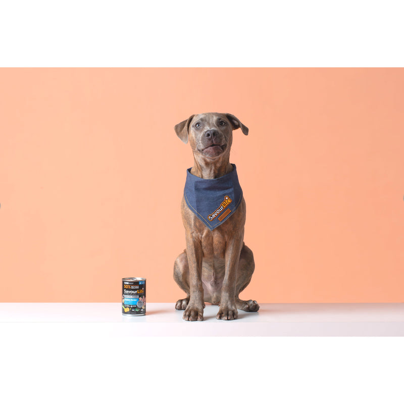 Savourlife Grain Free Chicken Puppy Wet Food 375g