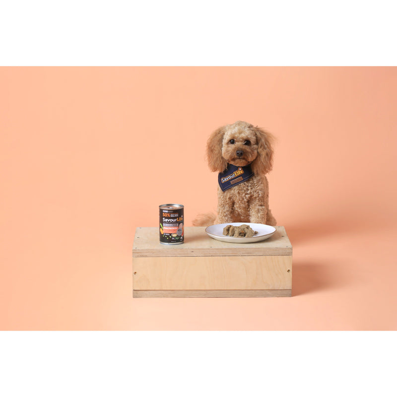 Savourlife Grain Free Ocean Fish Adult Dog Wet Food 375g X12