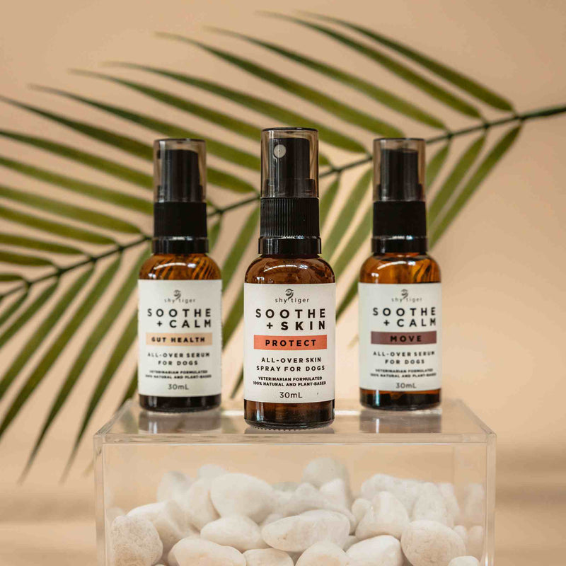 Shy Tiger Soothe and Calm Gut Health and Travel Support Serum for Dogs 30ml***